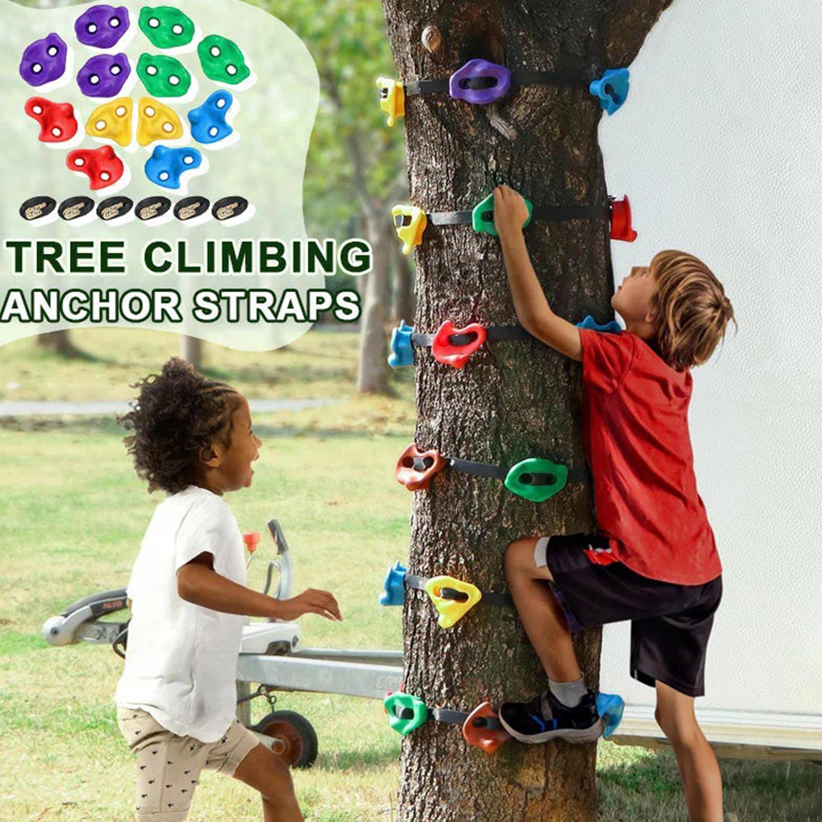 Outdoor Adventure Store - Équipement d'escalade sur arbre réglable et