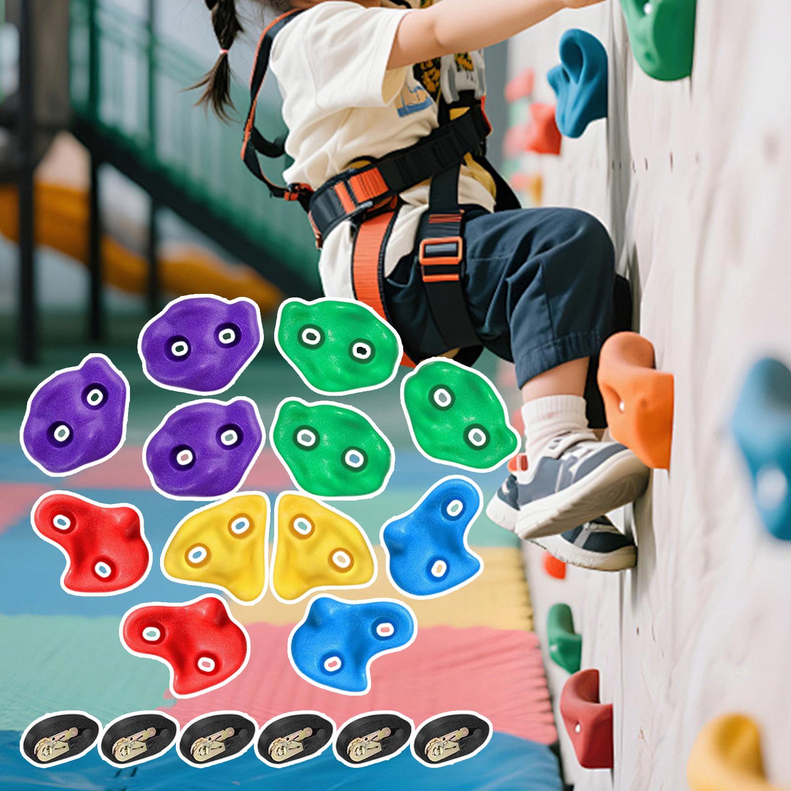 Équipement d'escalade sur arbr - Outdoor Adventure Store avis et prix