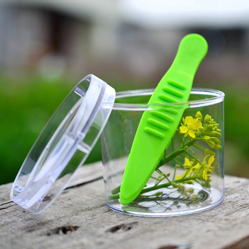 Pince à insectes, ciseaux, pin - Outdoor Adventure Usa avis et prix